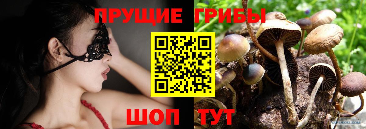 Сергиев Посад  Псилоцибиновые грибы GOLDEN TEACHER  купить закладку  Вход с VPN 