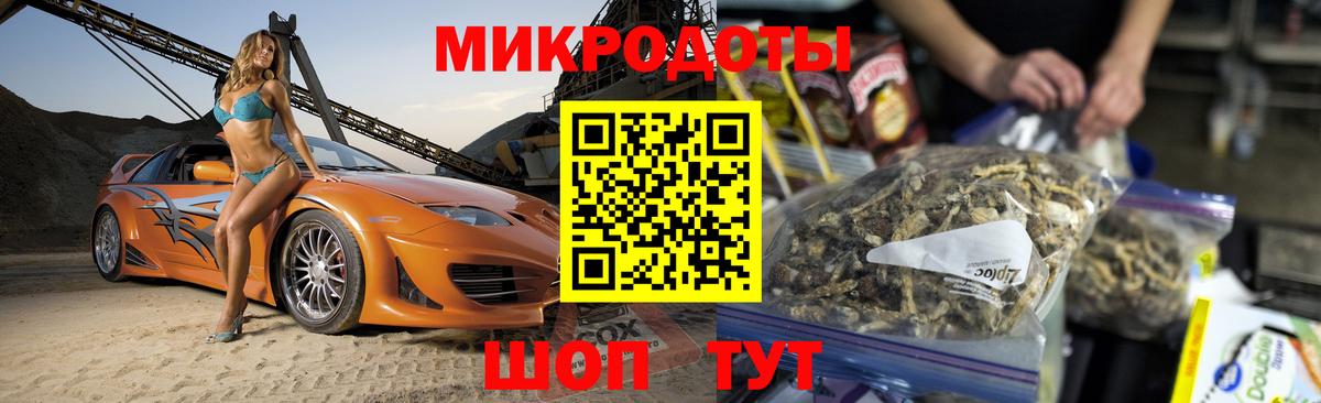 Псилоцибиновые грибы Psilocybe Сергиев Посад